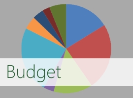 The Budget